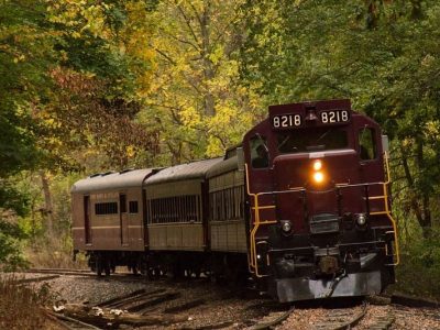 Diesel Locomotive #8218