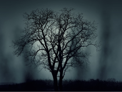 No Hope After Dark