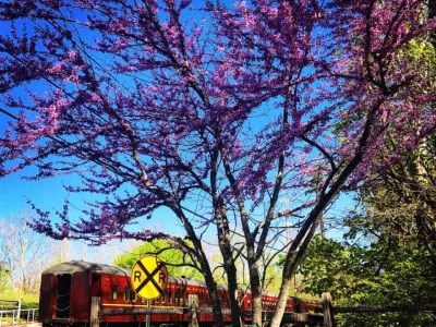 Springtime @ New Hope